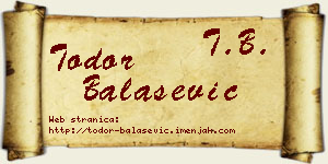 Todor Balašević vizit kartica